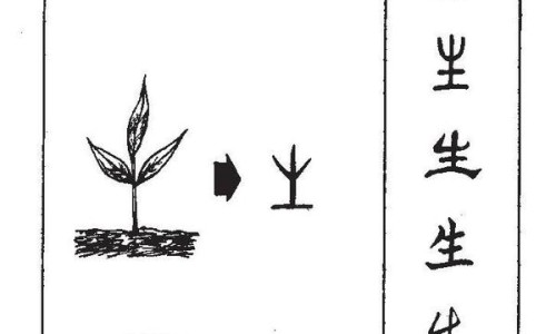 催例假黄体酮的吃法和用量-权威催经黄体酮胶囊怎么吃法 用量用法平台,分享专业催例假黄体酮的吃法有哪些知识_催例假黄体酮的吃法网