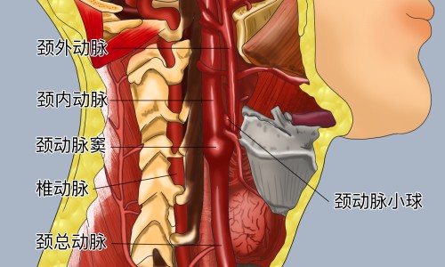 催例假黄体酮的吃法和用量-权威催经黄体酮胶囊怎么吃法 用量用法平台,分享专业催例假黄体酮的吃法有哪些知识_催例假黄体酮的吃法网