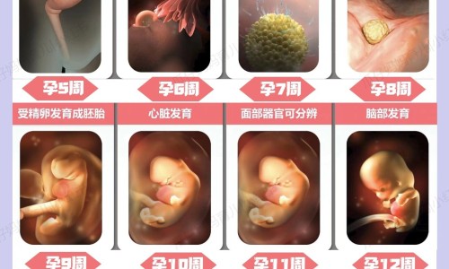 权威催经黄体酮胶囊怎么吃法 用量用法平台,分享专业催例假黄体酮的吃法有哪些知识_催例假黄体酮的吃法网